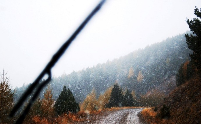 В десяти районах Сахалинской области ожидается сильный дождь и мокрый снег