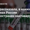 Врач рассказала, в каких регионах России распространен хантавирус