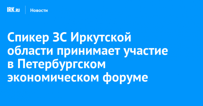 Спикер ЗС Иркутской области принимает участие в Петербургском экономическом форуме
