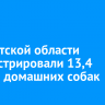 В Иркутской области зарегистрировали 13,4 тысячи домашних собак