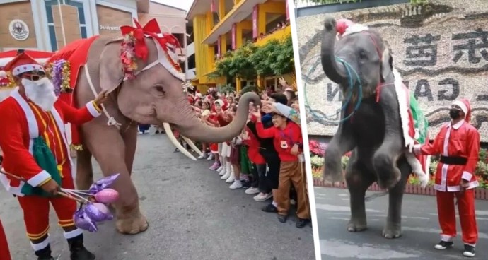 Зимняя сказка по-тайски: Встречаем Новый 2026 год на Пхукете