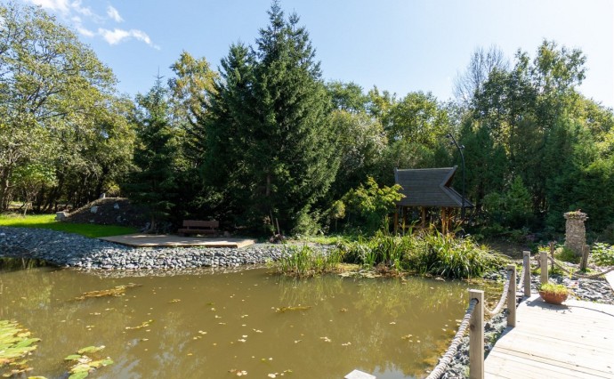 В десять раз выросло количество посетителей ботанического сада в Южно-Сахалинске