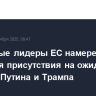 Некоторые лидеры ЕС намерены добиться присутствия на ожидаемой встрече Путина и Трампа