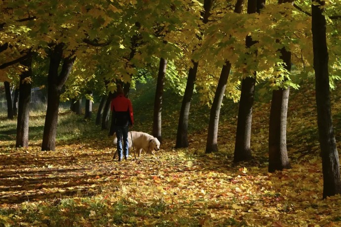 Исследование: 77% любящих свой город россиян считают себя счастливыми