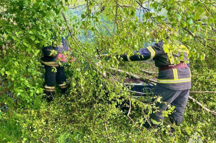 В деревне Тупиково в Тверской области на машину упало дерево
