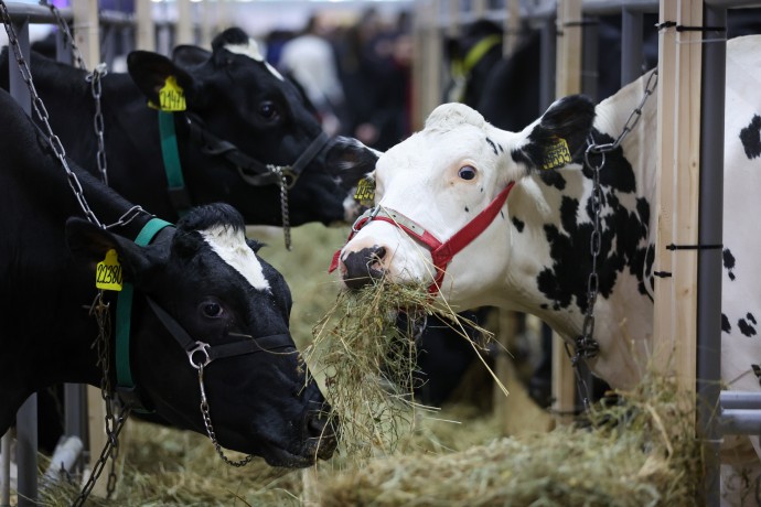 В СФ отметили большой потенциал малых сельхозпредприятий В СФ отметили большой потенциал малых сельхозпредприятий