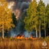 В Зилаирском районе Башкирии ликвидировали лесной пожар
