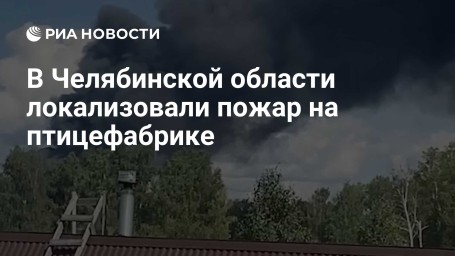 В Челябинской области локализовали пожар на птицефабрике