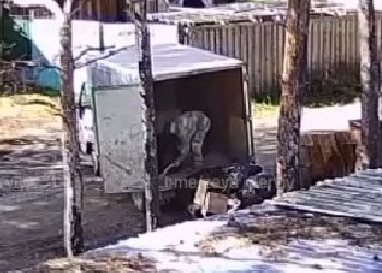 В Приамурье на видео попало «создание» свалки В Приамурье на видео попало «создание» свалки