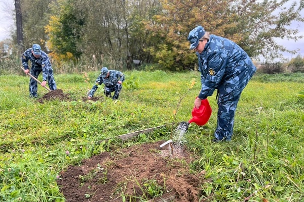 В Ярославской области высадили сад в честь погибшего на СВО сотрудника УИС региона