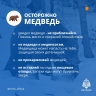В Башкирии людей калечат медведи