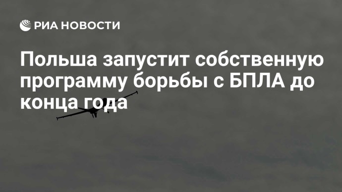Польша запустит собственную программу борьбы с БПЛА до конца года Польша запустит собственную программу борьбы с БПЛА до конца года