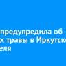 Мэрия предупредила об отжигах травы в Иркутске 27 апреля