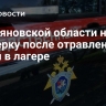 В Ульяновской области начали проверку после отравления детей в лагере