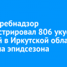 Роспотребнадзор зарегистрировал 806 укусов клещей в Иркутской области с начала эпидсезона