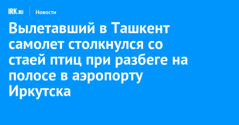 Вылетавший в Ташкент самолет столкнулся со стаей птиц при разбеге на полосе в аэропорту Иркутска