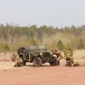 Масштабной военно-исторической реконструкцией отметят в Братске 80-летие Победы