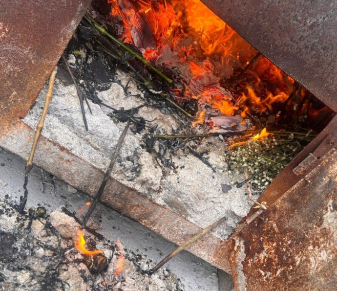 В Петербурге уничтожили партию кенийских роз В Петербурге уничтожили партию кенийских роз