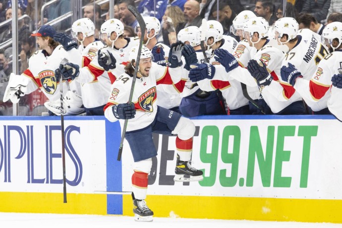 Камнев оценил перспективы «Флориды» в этом сезоне НХЛ