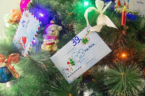 В Благовещенске запустят традиционную акцию «Елка желаний» В Благовещенске запустят традиционную акцию «Елка желаний»