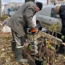 Депутаты обсудили массовые посадки