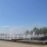 «Водоканал» продлил работу петербургских фонтанов на время белых ночей...