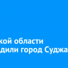 В Курской области освободили город Суджа