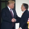 В Венгрии раскрыли отношение Трампа к Орбану