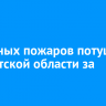12 лесных пожаров потушили в Иркутской области за сутки
