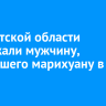 В Иркутской области задержали мужчину, собравшего марихуану в поле