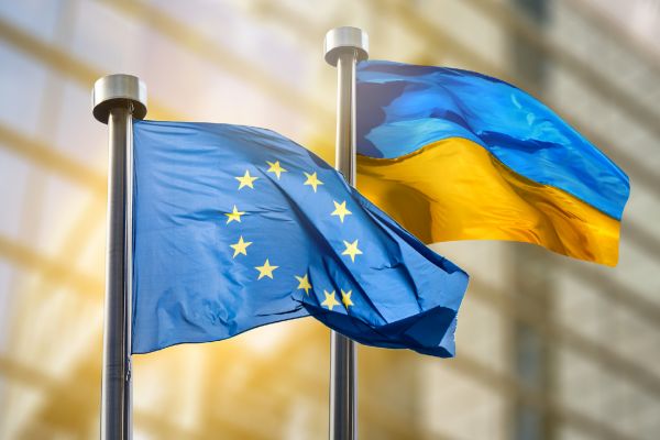 Депутат Рады: Европа осваивает депортацию украинских мужчин призывного возраста Депутат Рады: Европа осваивает депортацию украинских мужчин призывного возраста