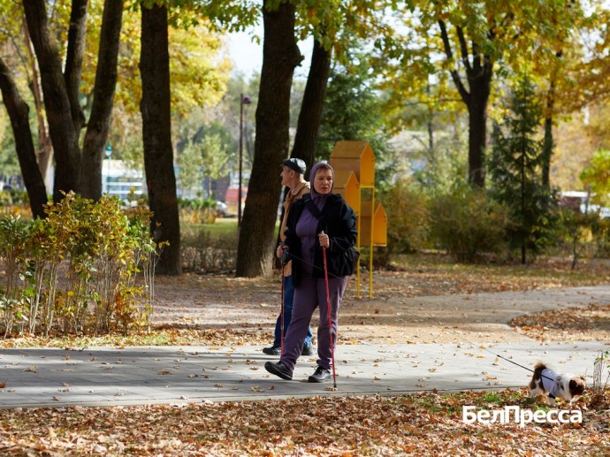 Как отдохнуть белгородцам 26–28 сентября