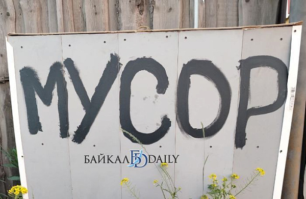 «Шины, унитаз и панда»: У Байкала провели чемпионат по сбору мусора