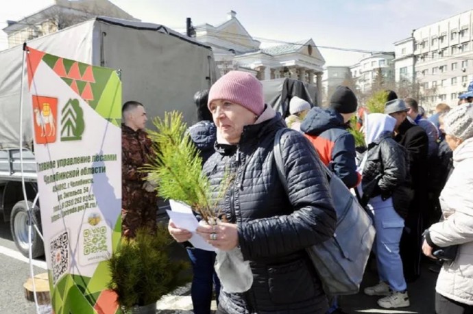Жители Челябинска образовали очередь за бесплатными соснами