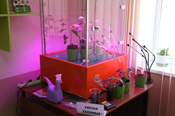 ЛУКОЙЛ продлевает срок сбора заявок на конкурс социальных и культурных проектов