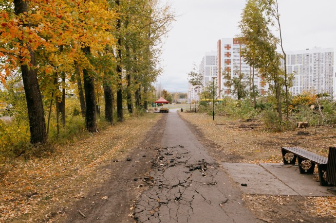 Жителям Пензы предложили выбрать зоны отдыха, которые преобразятся в 2027 году Жителям Пензы предложили выбрать зоны отдыха, которые преобразятся в 2027 году