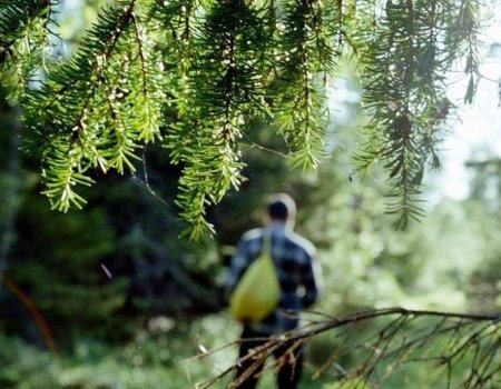 В лесах Зианчуринского района Башкирии пропал мужчина В лесах Зианчуринского района Башкирии пропал мужчина