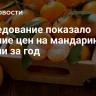Исследование показало падение цен на мандарины в России за год
