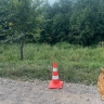 Появились подробности страшной аварии с шестью детьми в Башкирии