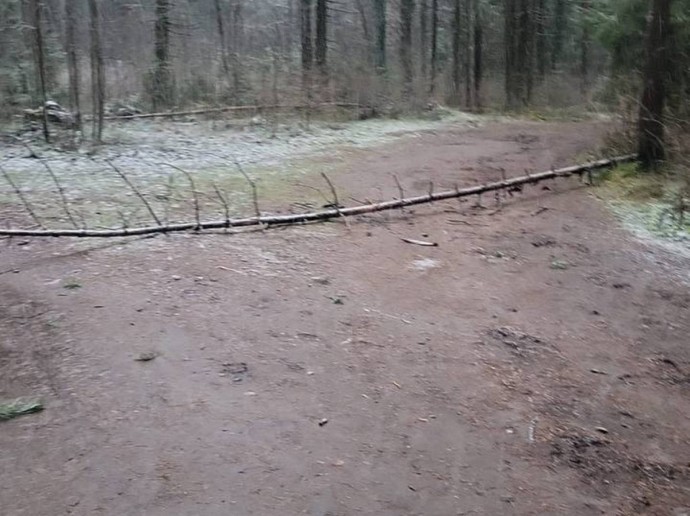 Олег Валенчук: Мы постоянно следим за состоянием «Тропы здоровья» в Порошино