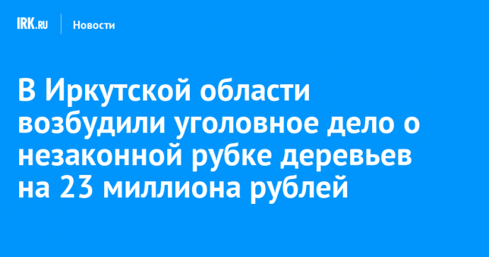 В Иркутской области возбудили уголовное дело о незаконной рубке деревьев на 23 миллиона рублей