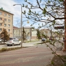 Белгородские власти ввели новую схему договоров аренды для получения компенсаций