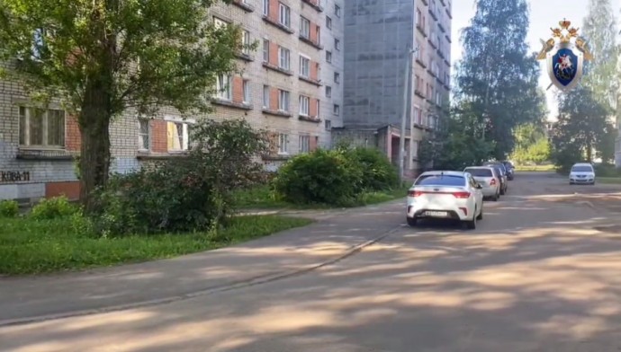 В Ярославле мужчина убил свою жену ударом ножа в сердце