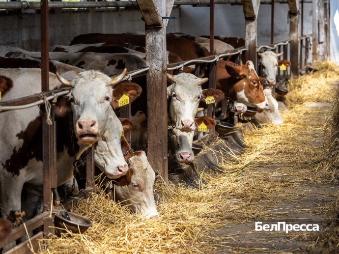 Белгородский губернатор сообщил об открытии в регионе уникального производства Белгородский губернатор сообщил об открытии в регионе уникального производства