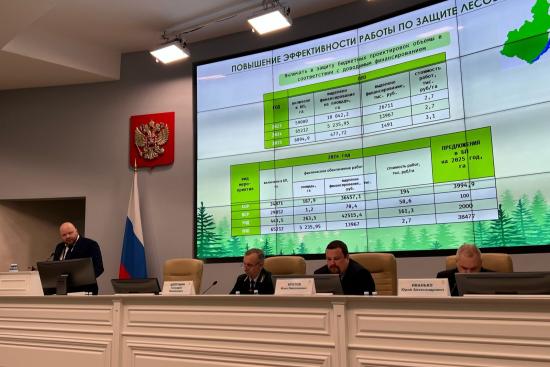 Реестр погибших и поврежденных насаждений в Иркутской области сократился за год на 150 тысяч гектаров