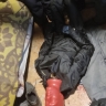 Обнародованы фото с места убийства мужчиной родного брата в Пензе