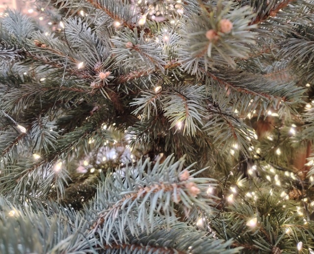 Советскую площадь в Саранске готовят к Новому году Советскую площадь в Саранске готовят к Новому году