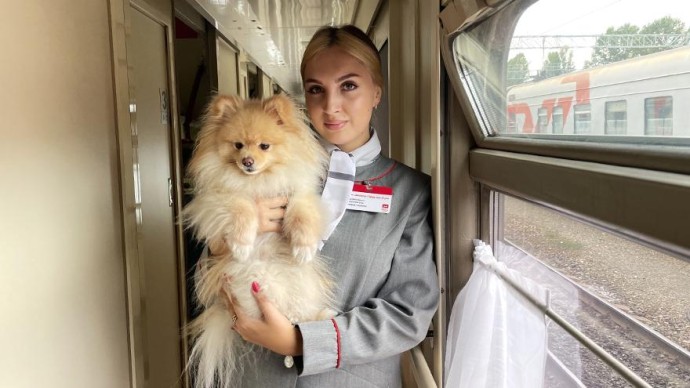 Более 3,8 тыс. домашних питомцев без сопровождения хозяев перевезено на ПривЖД за 9 месяцев 2025 года Более 3,8 тыс. домашних питомцев без сопровождения хозяев перевезено на ПривЖД за 9 месяцев 2025 года