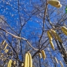 Ясно и +16°C прогнозируется в Нижнем Новгороде в последний день марта