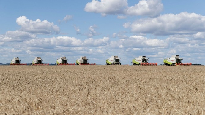 Россельхознадзор снял карантин с садового питомника в Тульской области спустя 5 лет
